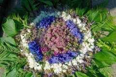 20240530_085329000_iOS-5