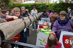 Maibaum2016-18
