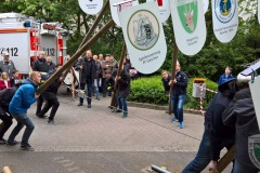 Maibaum2016-37