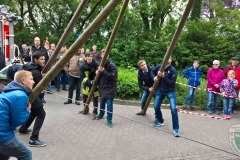 Maibaum2016-38