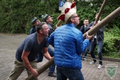 Maibaum2017-44