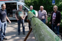 Maibaum2018-07