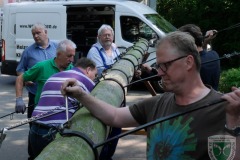 Maibaum2018-08