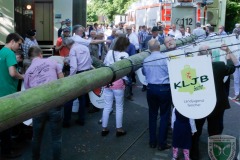 Maibaum2018-42