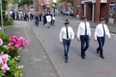Maibaum2019-06