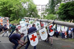 Maibaum2019-36
