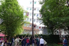 Maibaum2019-41