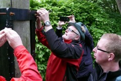 Maibaum2016FJS-51