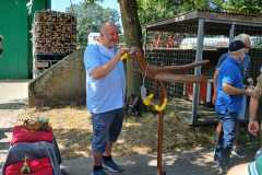 2026_08_vogel_schmuecken23