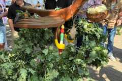 2026_08_vogel_schmuecken35